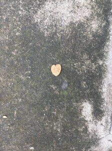 3B2AF4D7-CD15-4228-9734-909060051EDC