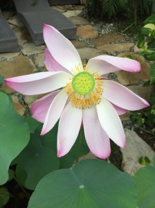 1456EB9C-F2C1-4368-98A8-04874D20AB54